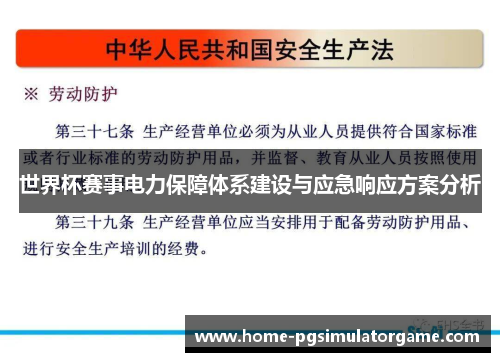 世界杯赛事电力保障体系建设与应急响应方案分析