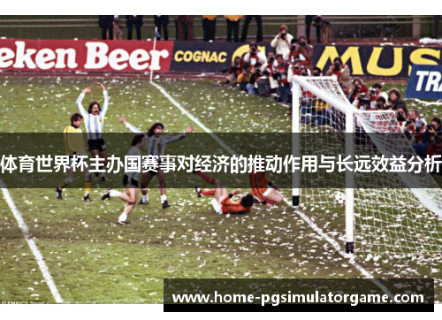 体育世界杯主办国赛事对经济的推动作用与长远效益分析