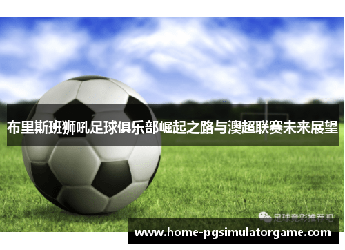布里斯班狮吼足球俱乐部崛起之路与澳超联赛未来展望