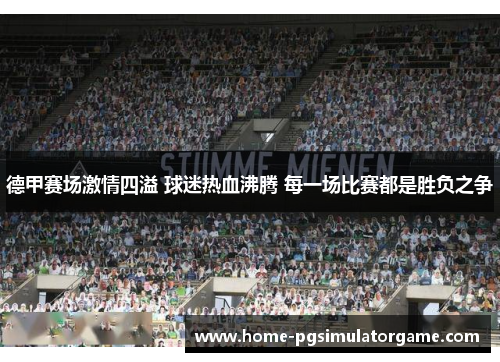 德甲赛场激情四溢 球迷热血沸腾 每一场比赛都是胜负之争
