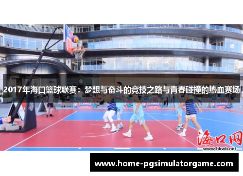 2017年海口篮球联赛：梦想与奋斗的竞技之路与青春碰撞的热血赛场
