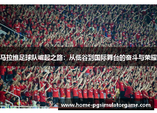 马拉维足球队崛起之路：从低谷到国际舞台的奋斗与荣耀