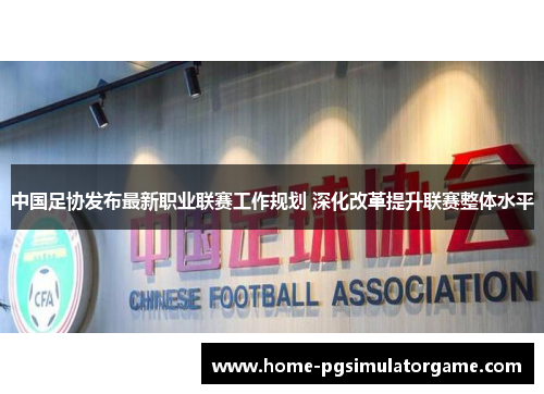 中国足协发布最新职业联赛工作规划 深化改革提升联赛整体水平