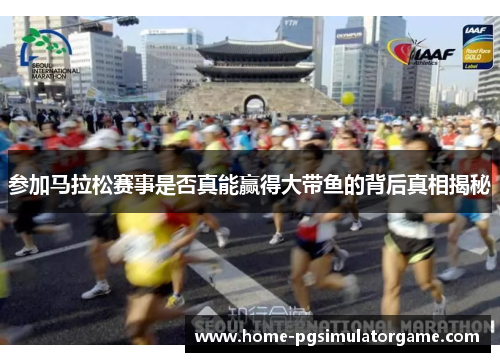参加马拉松赛事是否真能赢得大带鱼的背后真相揭秘