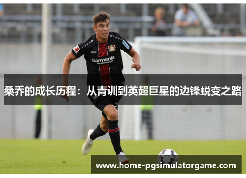桑乔的成长历程：从青训到英超巨星的边锋蜕变之路