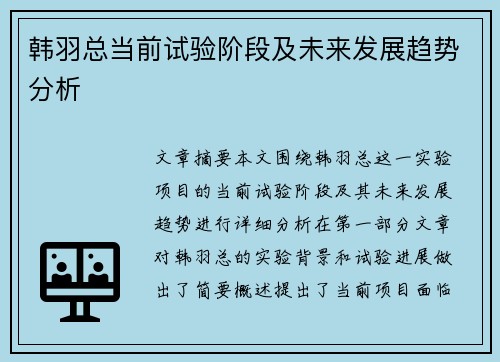 韩羽总当前试验阶段及未来发展趋势分析