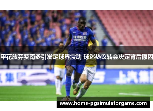 申花放弃费南多引发足球界震动 球迷热议转会决定背后原因