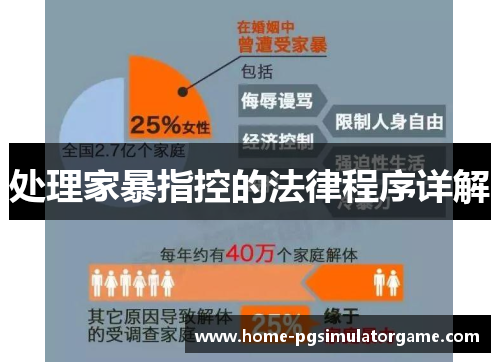 处理家暴指控的法律程序详解