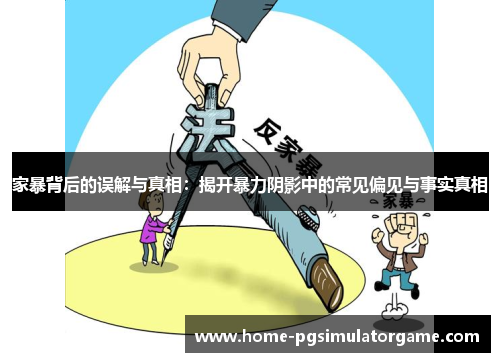 家暴背后的误解与真相：揭开暴力阴影中的常见偏见与事实真相
