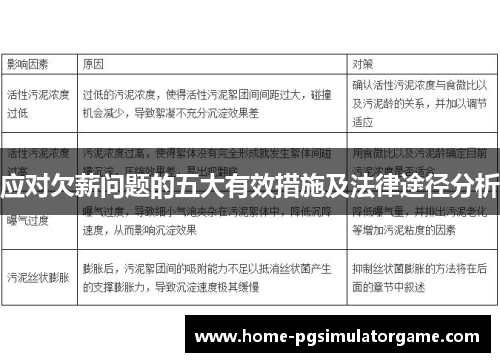 应对欠薪问题的五大有效措施及法律途径分析