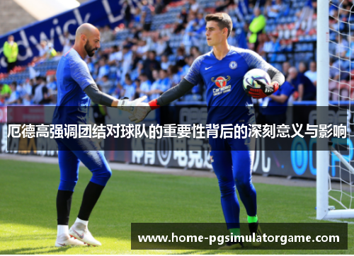 厄德高强调团结对球队的重要性背后的深刻意义与影响
