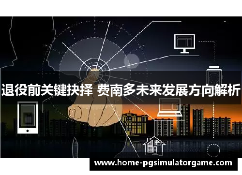 退役前关键抉择 费南多未来发展方向解析