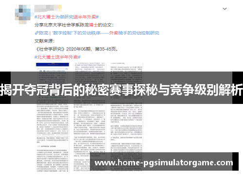 揭开夺冠背后的秘密赛事探秘与竞争级别解析