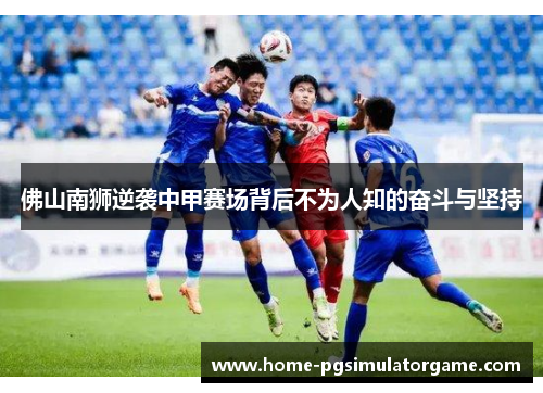 佛山南狮逆袭中甲赛场背后不为人知的奋斗与坚持