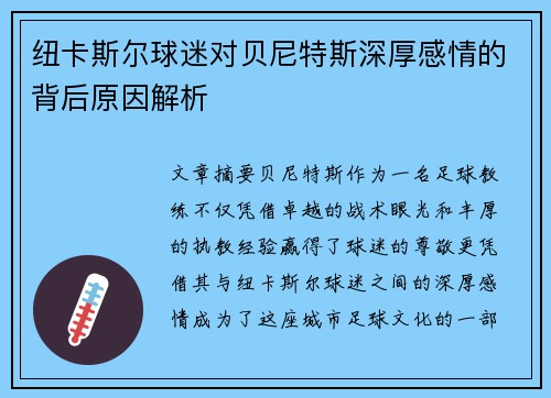 纽卡斯尔球迷对贝尼特斯深厚感情的背后原因解析