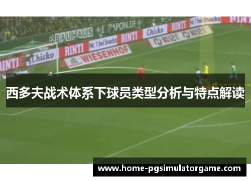 西多夫战术体系下球员类型分析与特点解读