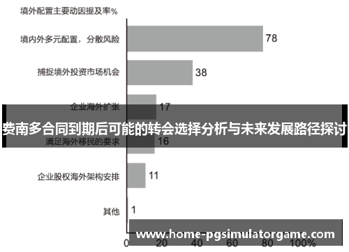 费南多合同到期后可能的转会选择分析与未来发展路径探讨 费南多合同到期后可能的转会选择分析与未来发展路径探讨