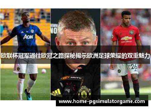欧联杯冠军通往欧冠之路探秘揭示欧洲足球荣耀的双重魅力