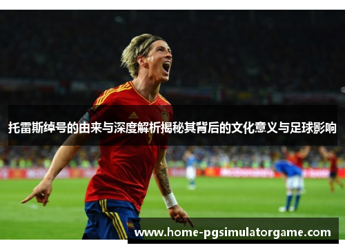 托雷斯绰号的由来与深度解析揭秘其背后的文化意义与足球影响 托雷斯绰号的由来与深度解析揭秘其背后的文化意义与足球影响